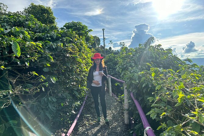 Magical Views of the Coffee Region - Cittaslow Three Towns - Pricing and Booking