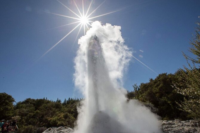 Magical Wanderer Experience Private Tour to Te Puia & Wai-O-Tapu - Inclusions