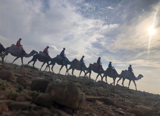 Magistic Atlasmountains Day Trip Included Camel Experience - Camel Riding and Hike