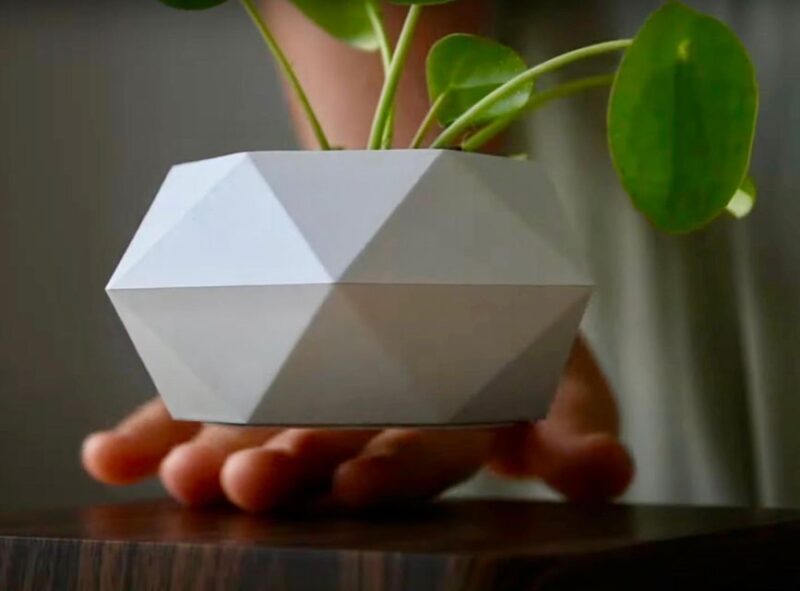 Magnetic Floating Terrarium Workshop - Restrictions