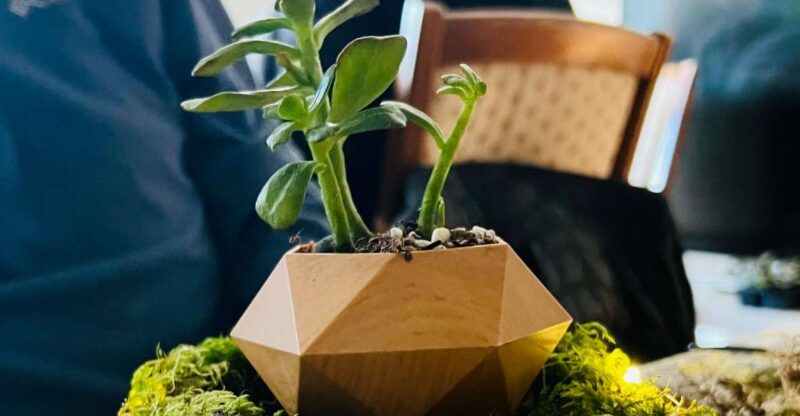 Magnetic Floating Terrarium Workshop - Materials Included