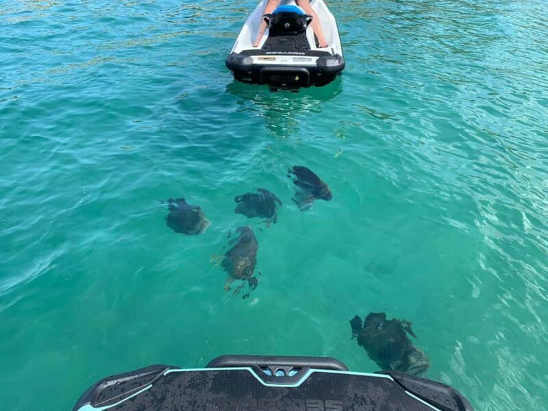 Magnetic Island Snorkel Jet Ski Tour - Key Points