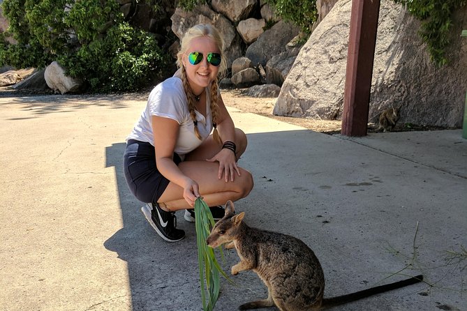 Magnetic Island Tour: Maggie Comprehensive - Reviews and Ratings