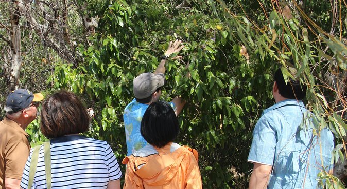 Magnetic Island Tour: Maggie Comprehensive - Exploring Magnetic Island
