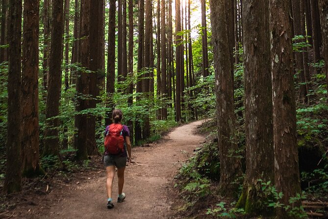 Magome to Tsumago Hiking Tour From Nagoya - Inclusions