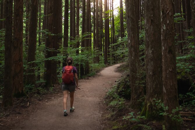 Magome & Tsumago Nakasendo Trail Day Hike With Government-Licensed Guide - Meeting Location and Pickup
