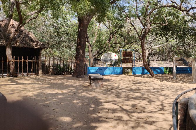Mahabalipuram and Madras Crocodile Bank Trip From Chennai Wtih Lunch,Transport - Key Points