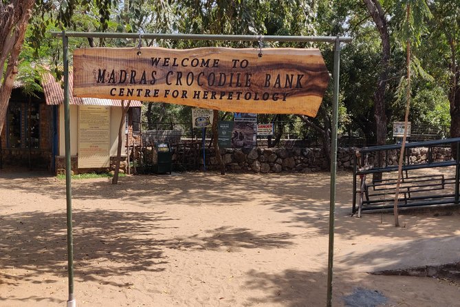 Mahabalipuram and Madras Crocodile Bank Trip From Chennai Wtih Lunch,Transport - Visiting Madras Crocodile Bank
