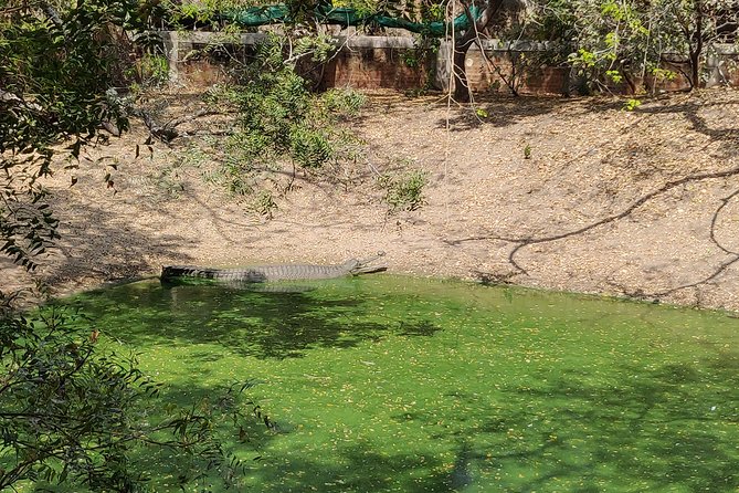 Mahabalipuram and Madras Crocodile Bank Trip From Chennai Wtih Lunch,Transport - Tour Booking Information