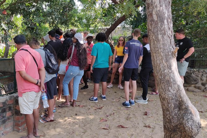 Mahabalipuram and Madras Crocodile Bank Trip From Chennai Wtih Lunch,Transport - Tour Accessibility and Restrictions
