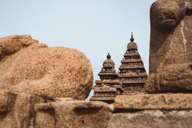 Mahabalipuram, Kanchipuram Day Tour With Guide, Lunch, Entrances - Transportation and Logistics