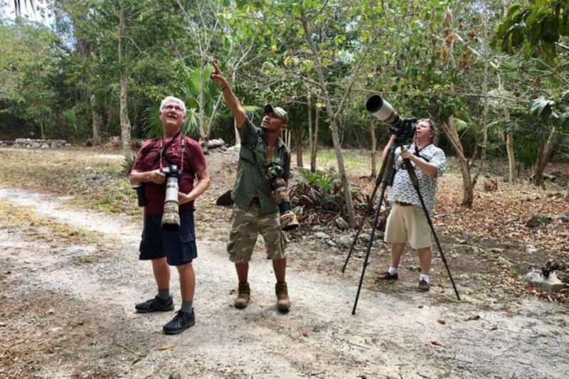 Mahahual: Costa Maya Birdwatching Experience - Key Points