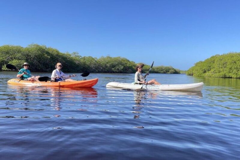Mahahual: Kayaking in the Mangroves Experience - Cultural Engagement