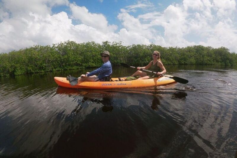 Mahahual: Kayaking in the Mangroves Experience - Nature Exploration