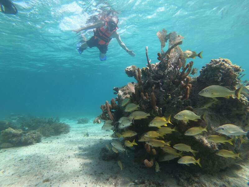 Mahahual: Snorkel Tour in Reef Lagoon - FAQ