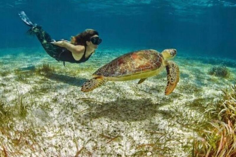 Mahahual: Snorkeling on the Great Mayan Reef - Beach Club Amenities