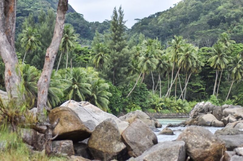 Mahe Island: Private Mahe Full Day Island Tour - Key Points
