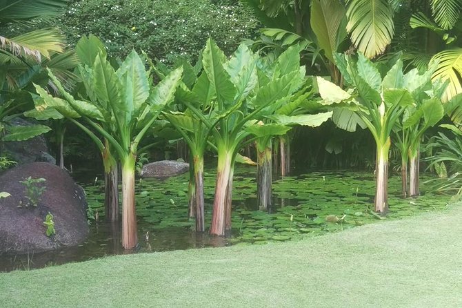 Mahe Private Full Day Tour - Included in the Tour