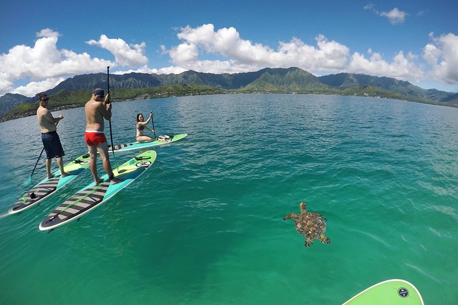 Mahina Hawaii Full Day Adventure - Confirmation and Accessibility