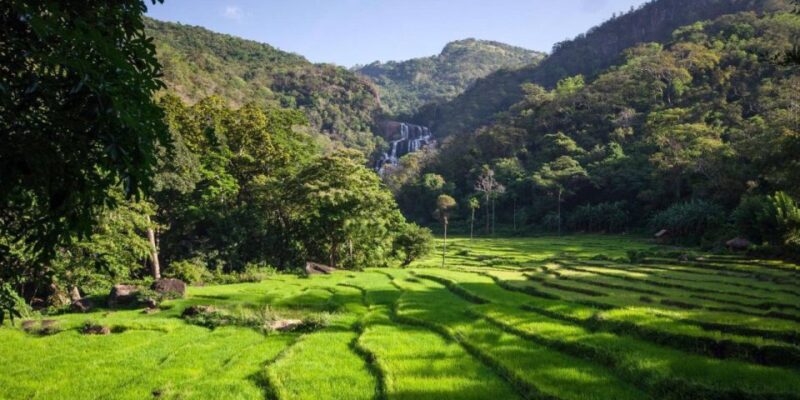 Mahiyanganaya: Overnight Tour to Undiscovered Village - Itinerary and Experiences