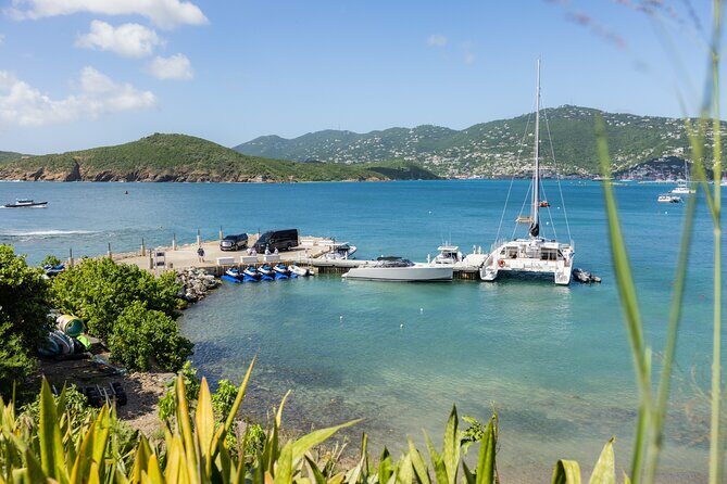 Maho Bay Turtle Snorkel with Lunch and Bar at Frenchman's Reef - Practical Tips for Travelers