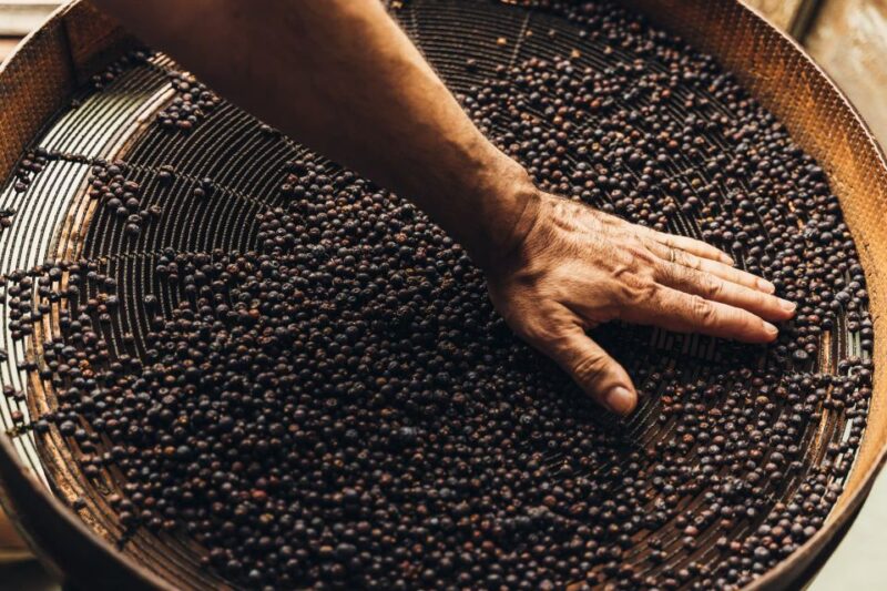 Mahón: Gin Distillery Tour With Tasting & Appetizers - Experience Highlights