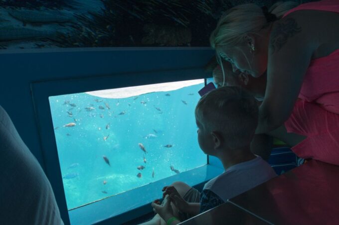 Mahon: Harbor Boat Tour With Underwater Viewing & Commentary - Recommendations
