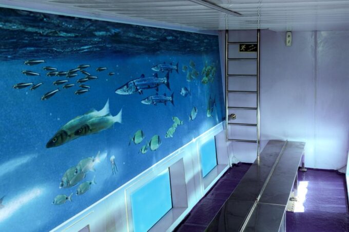 Mahon: Harbor Boat Tour With Underwater Viewing & Commentary - Frequently Asked Questions
