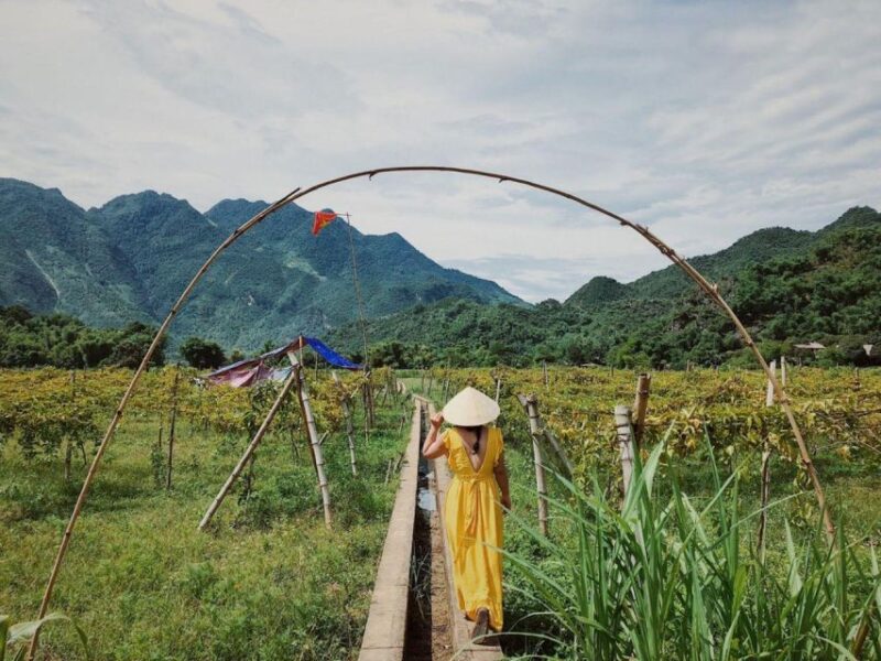 Mai Chau 2 Days 1 Night | From Hanoi - Key Points