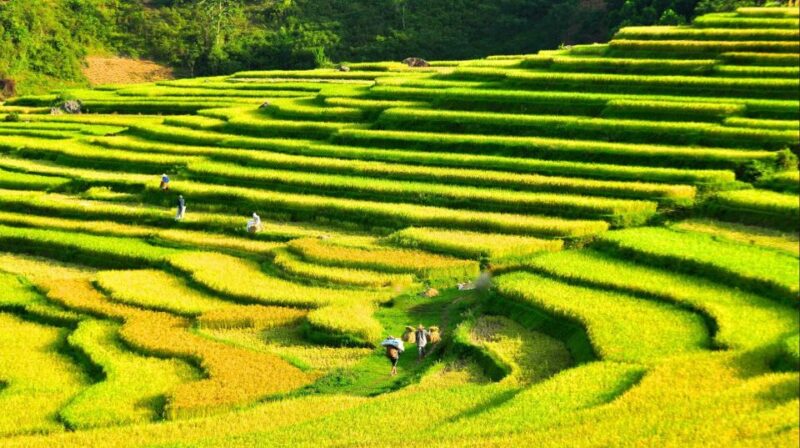 Mai Chau Biking Tour - Pricing and Booking