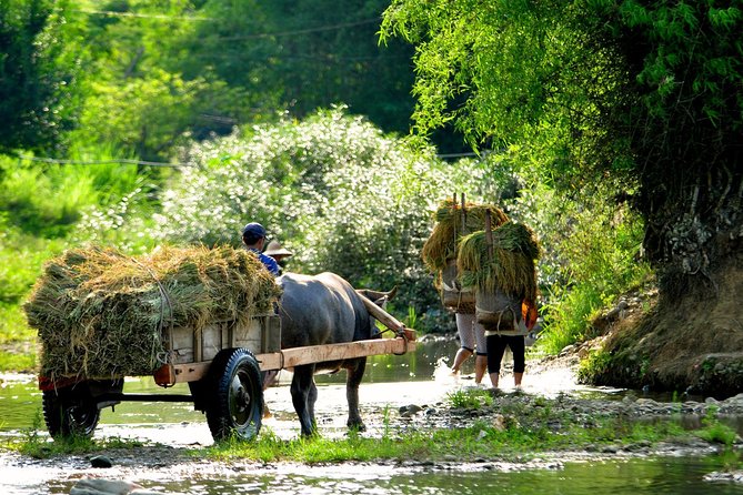 Mai Chau Private Day Tour: Hiking & Biking in Pristine Landscapes - Scenic Stops and Activities