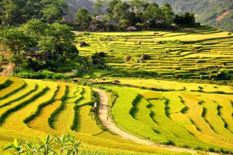 Mai Chau - Pu Luong 3D2N Tour - Itinerary Day 2