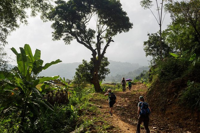 Mai Chau - Pu Luong Trekking 3 Days 2 Nights - Immerse in Thai Ethnic Minority Culture