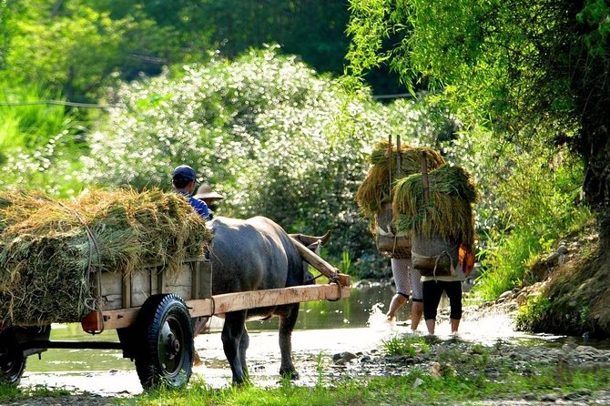 Mai Chau - Pu Luong Trekking 3 Days 2 Nights - Overnight in Traditional Stilt Houses