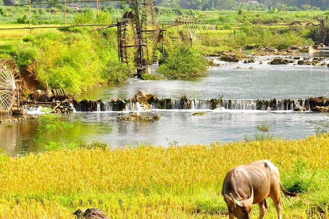 Mai Chau - Pu Luong Trekking 3 Days 2 Nights - Activities and Experiences on Tour