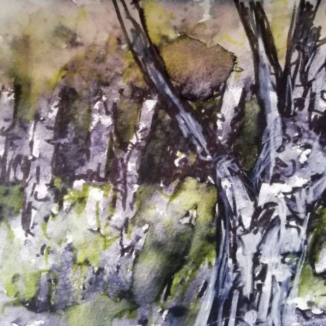 Maidstone: Mote Park Nature Walk and Drawing Workshop - Included in the Experience