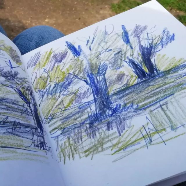 Maidstone: Mote Park Nature Walk and Drawing Workshop - Not Included in the Experience