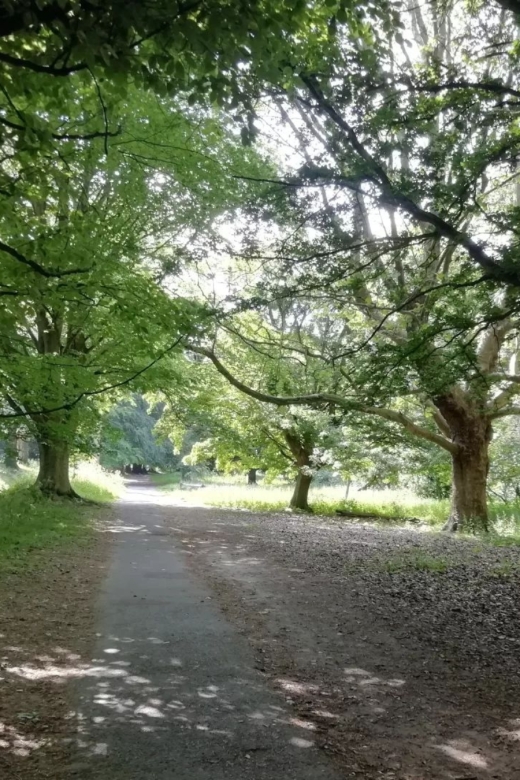 Maidstone: Mote Park Nature Walk and Drawing Workshop - Accessibility Information