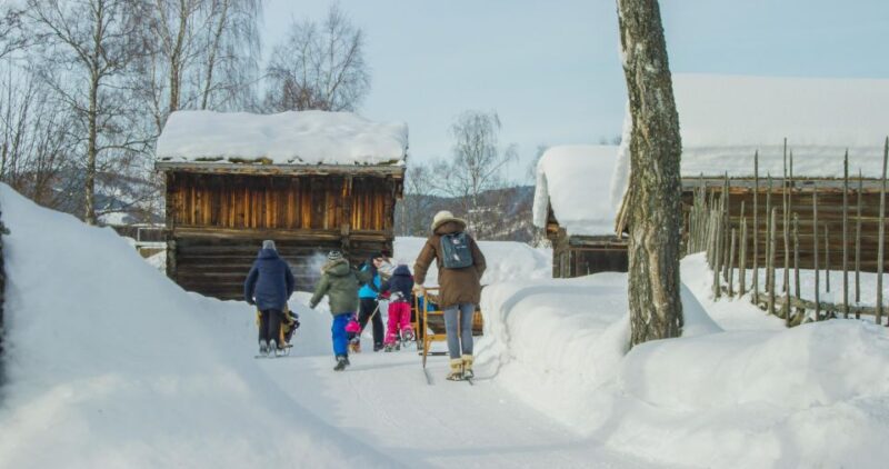 Maihaugen Open-Air Museum, Lillehammer. Entry Ticket - Norwegian Olympic Museum