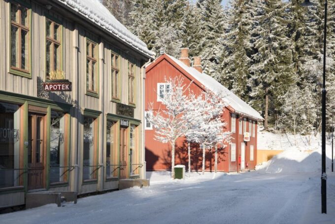 Maihaugen Open-Air Museum, Lillehammer. Entry Ticket - Accessibility and Languages Offered