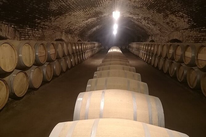 Main Winery of Chile Plus Bahai Temple of South America Day Tour - Key Points