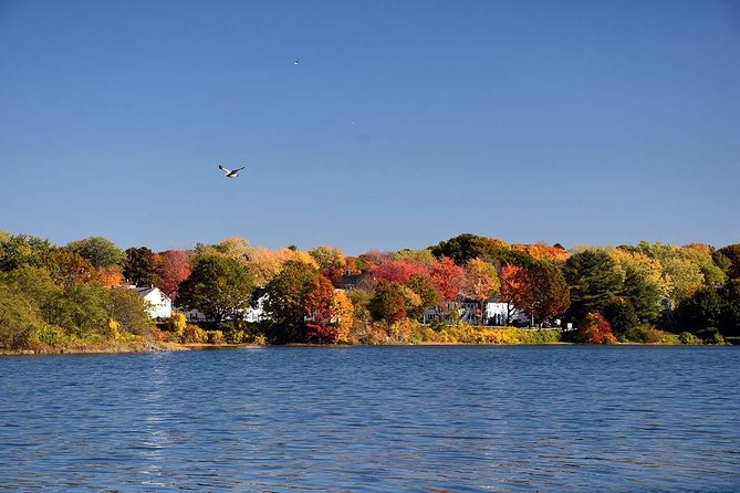 Maine Fall Foliage Private Lobster Boat Cruise With Local Drinks - Beverages and Amenities Included