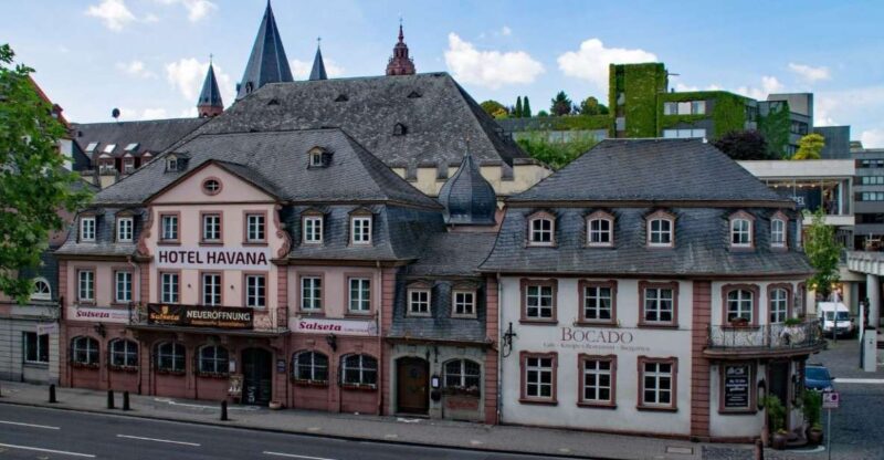 Mainz: Private Walking Tour With Professional Guide - Historical and Cultural Highlights