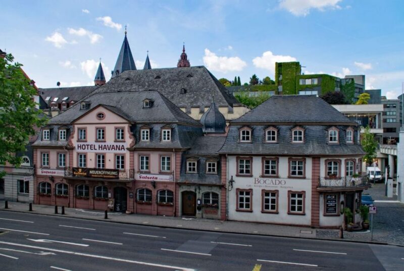Mainz: Private Walking Tour With Professional Guide - Tour Duration and Languages