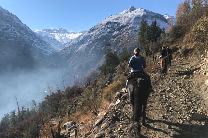 Maipo Canyon: Andes Mountains Horseback Ride and Wine Tour & Tasting - Wine Tasting at Concha Y Toro