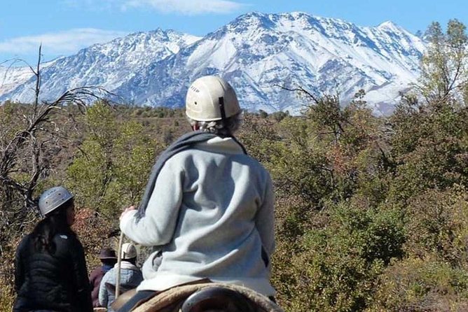 Maipo Canyon: Andes Mountains Horseback Ride and Wine Tour & Tasting - Inclusions