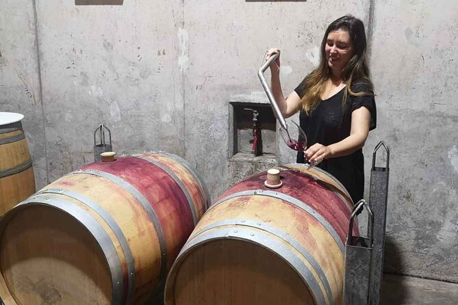 Maipo Valley Boutique Wine Tour: Haras De Pirque + Perez Cruz - Wineries Visited