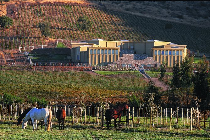 Maipo Valley Experience - Boutique Winery