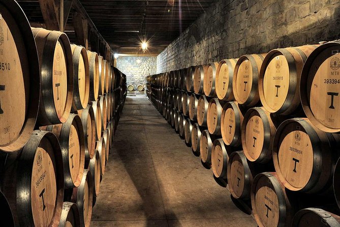 Maipo Valley Experience - Dining Options