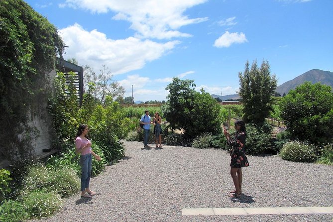 Maipo Valley Litle Wine Bus From Santiago - Traveler Requirements and Recommendations